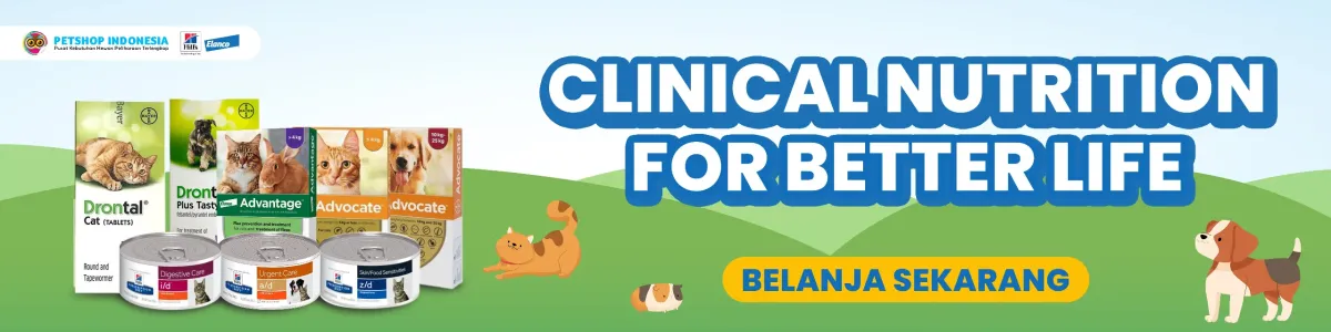 San San Pet Shop: Teman Tunggu di Jalan Kendeng